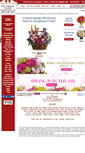 Mobile Screenshot of cannonfloral.com